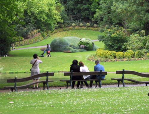Les plus beaux jardins de Nantes : une escapade nature depuis La Lobema