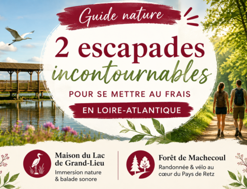 Deux escapades nature près de Lalobema pour se mettre au frais en Loire-Atlantique